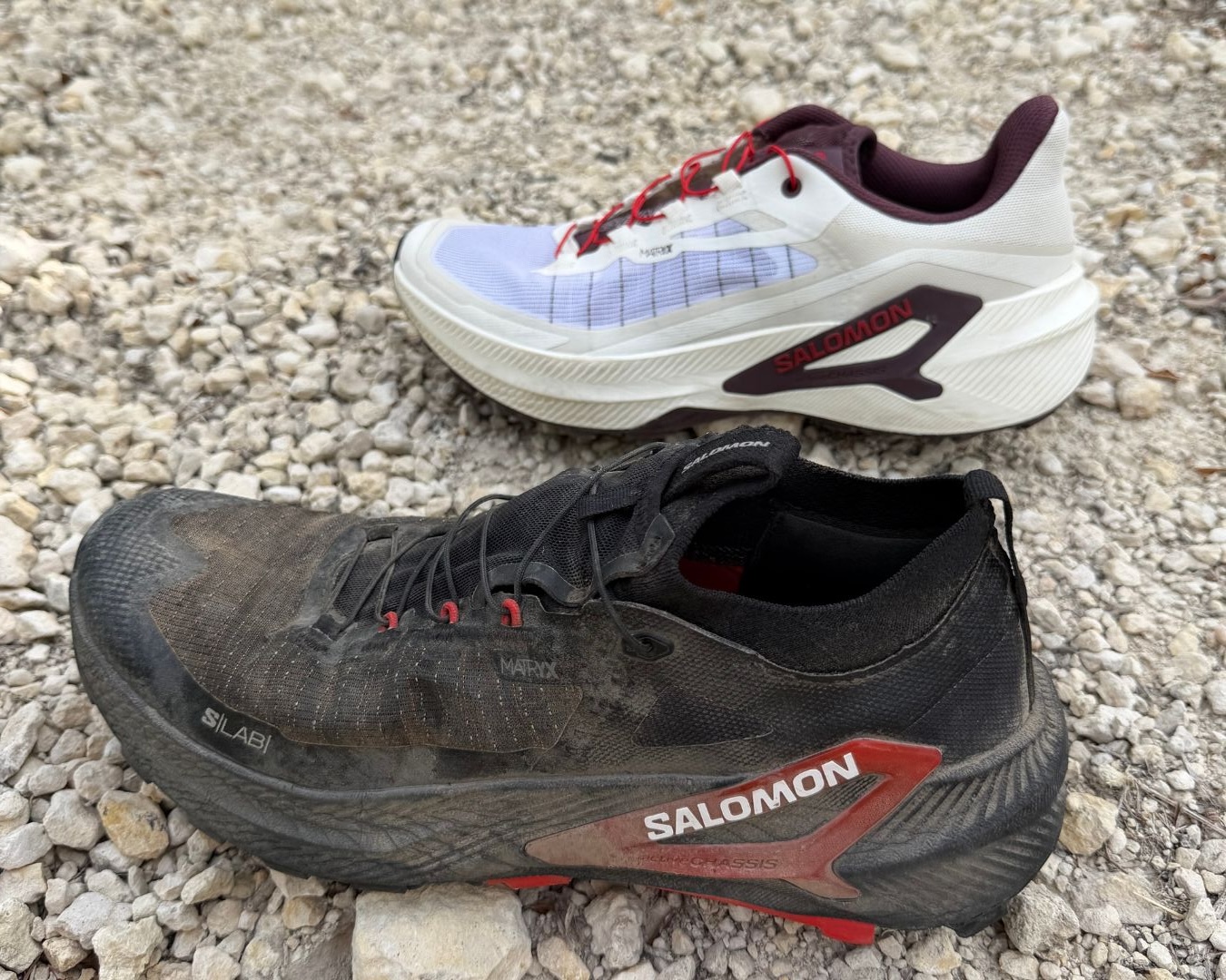 Salomon
